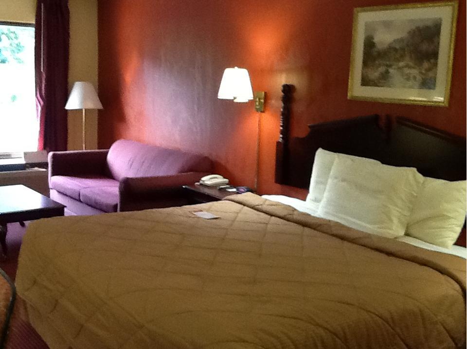 Super 8 By Wyndham Knoxville North/Powell Rom bilde